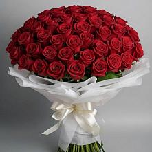 Букет 101 Красная роза Блэк Мэджик в Чемодурово