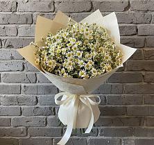 Букет цветов из:  Ромашки в Чемодурово