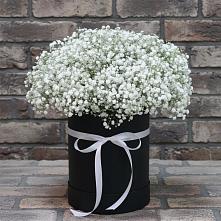 Цветочная композиция из Гипсофила в шляпной коробке в Чемодурово