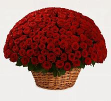 Премиум букет из: Розы в Чемодурово